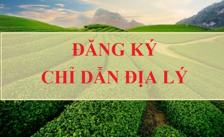 Đăng ký văn bẳng bảo hộ chỉ dẫn địa lý